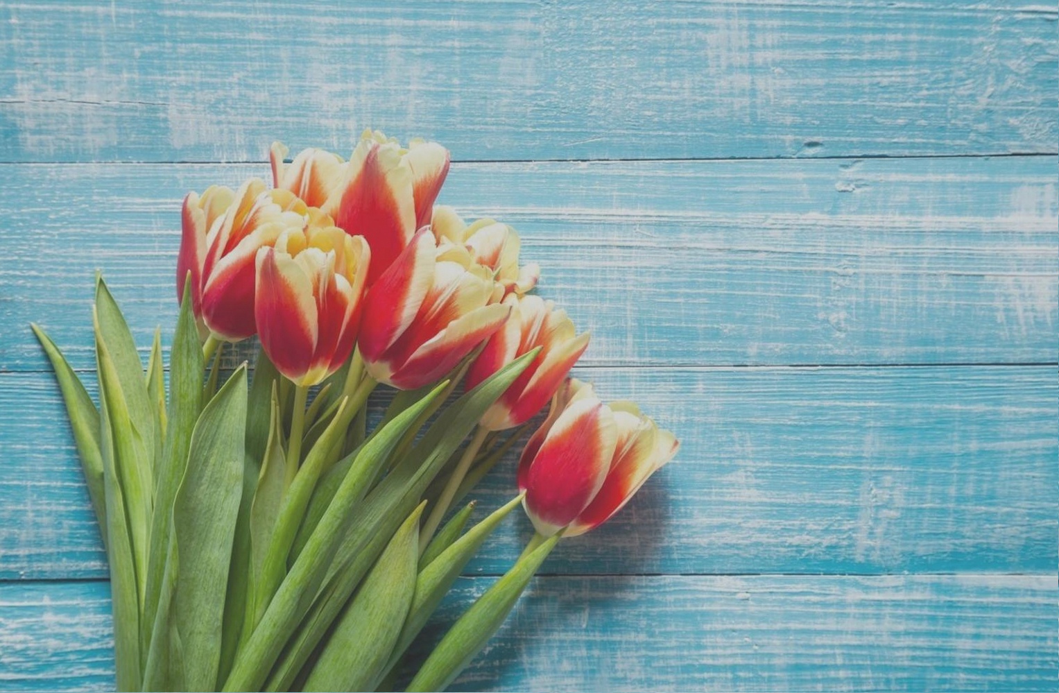 Floral Design as a Business: Starting Without Wasting Money
