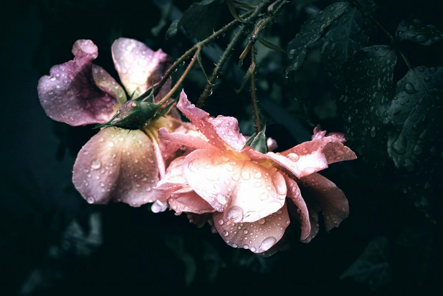 Floral design for business — program overview