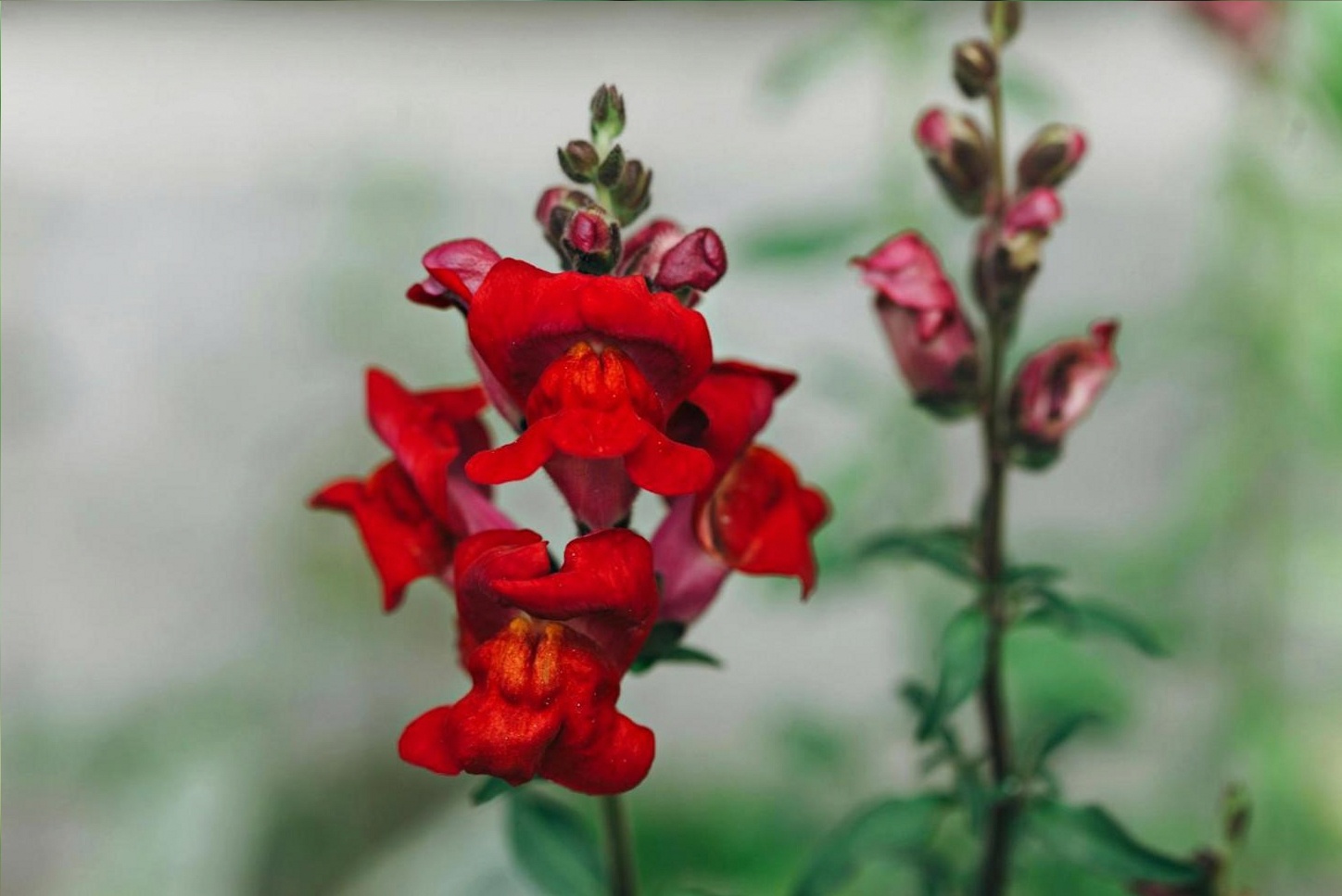 Studio environment used for floral business education