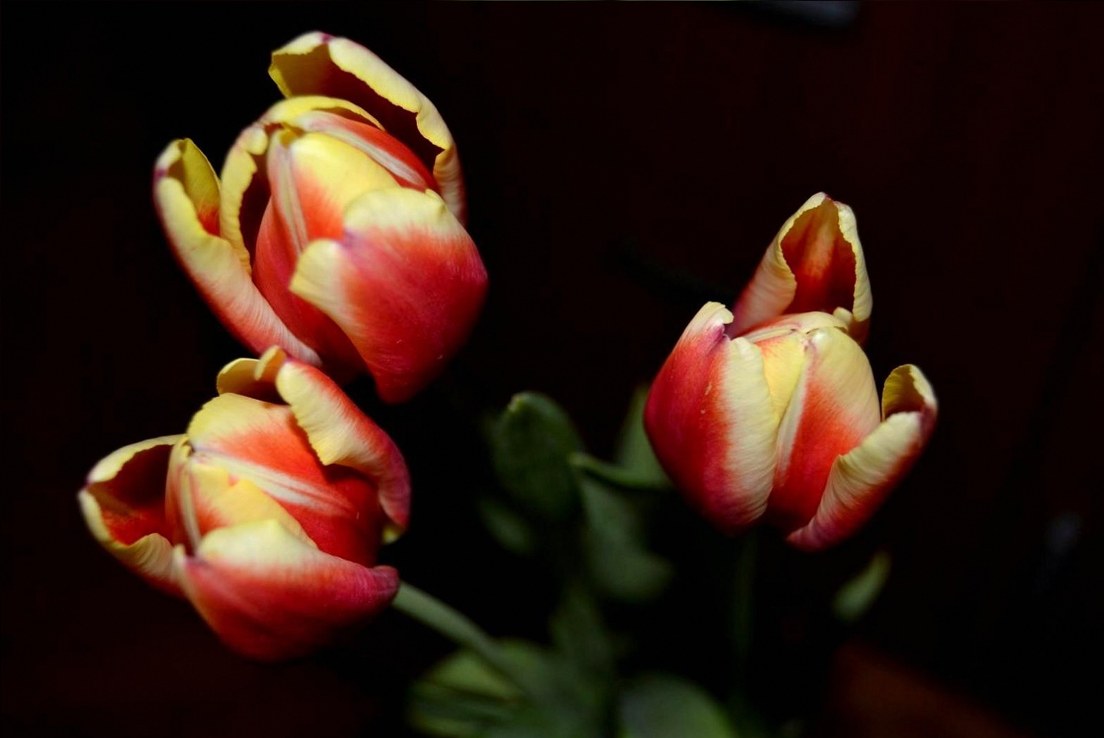Floral design workspace at Feelgooddeals